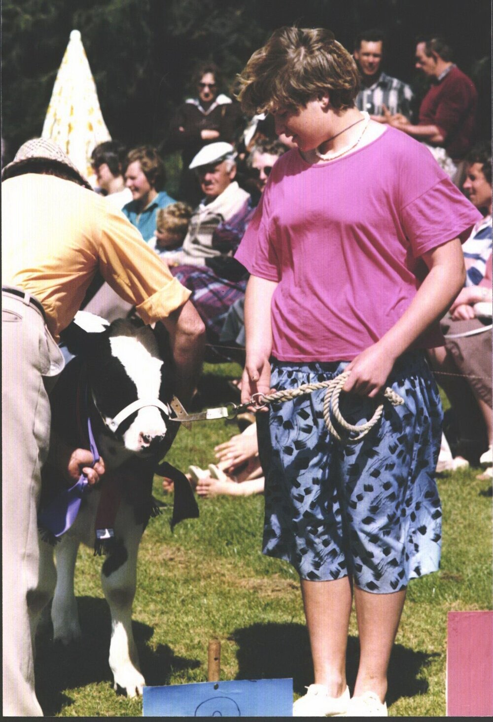 Stanley School - Calf Day - October 1986