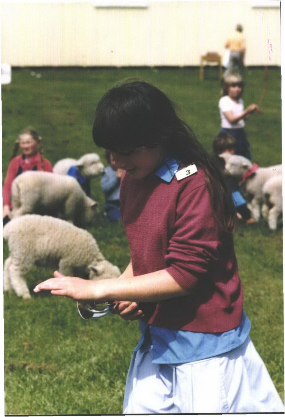 Stanley School - Calf Day - October 1986