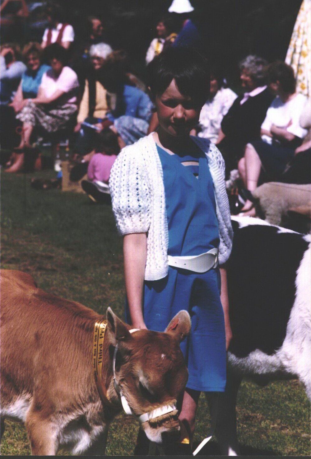 Stanley School - Calf Day - October 1986