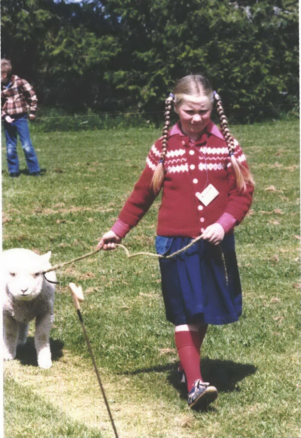 Stanley School - Calf Day - October 1986