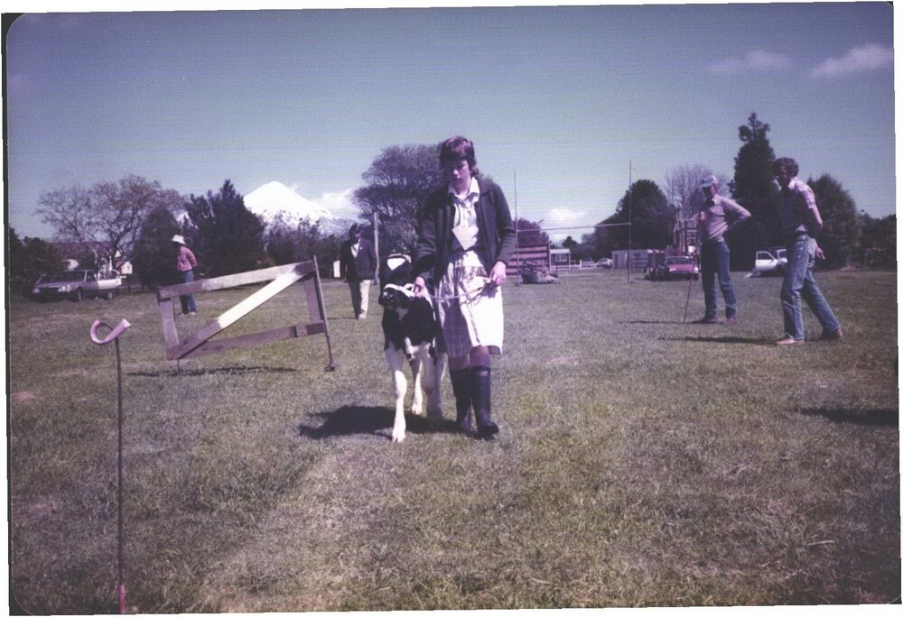 Stanley School - 1985