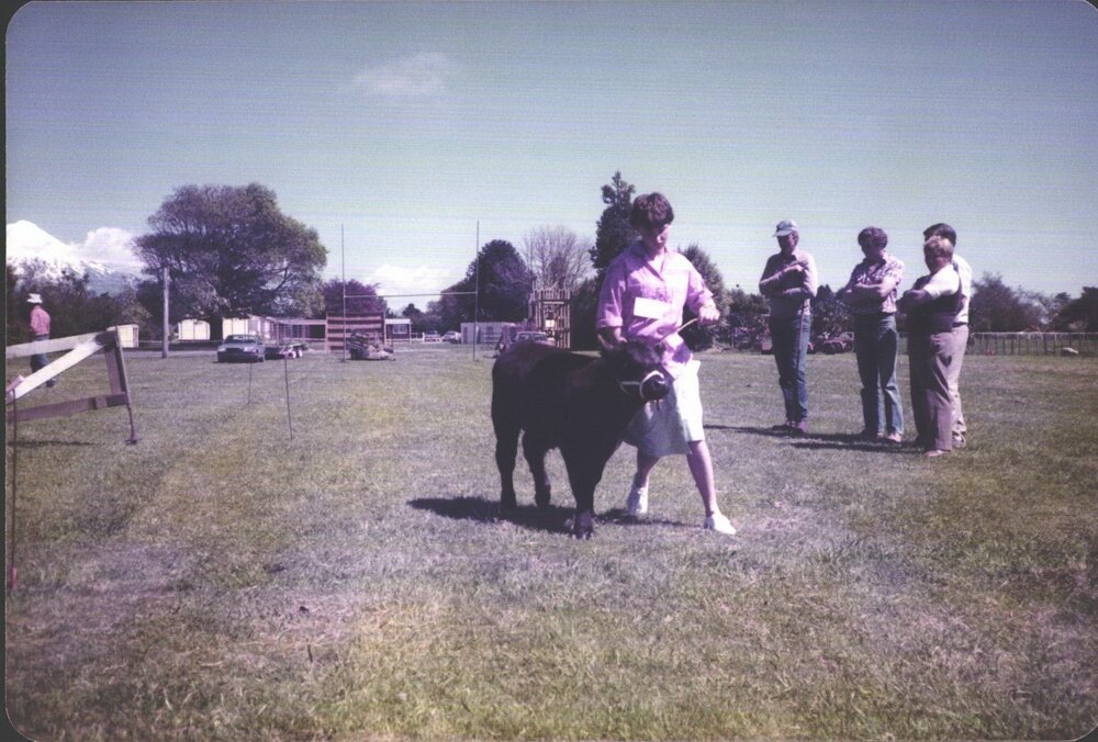 Stanley School - 1985