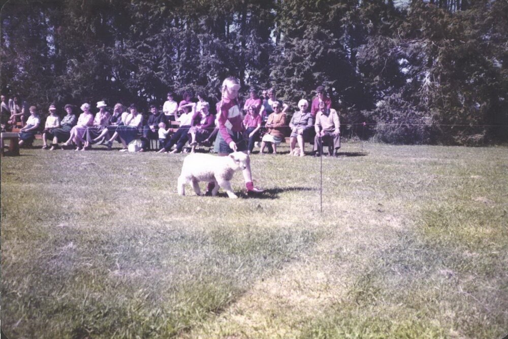 Stanley School - 1985