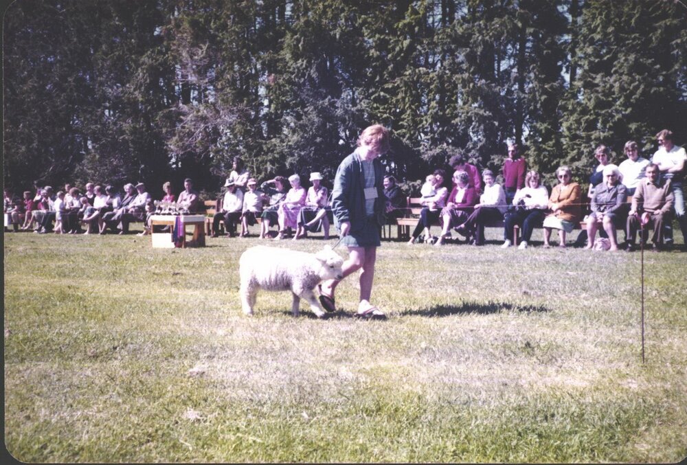 Stanley School - 1985