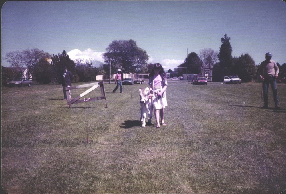 Stanley School - 1985