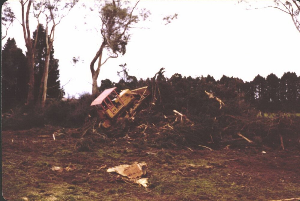 Stanley School - Milling library timber - 1981