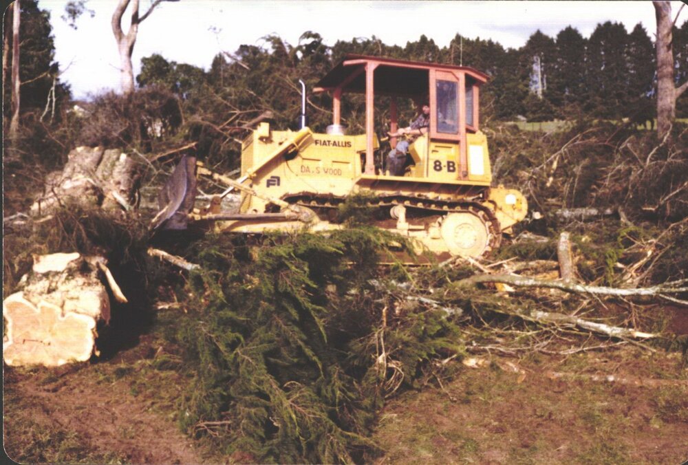 Stanley School - Milling library timber - 1981