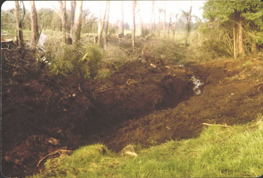 Stanley School - Milling library timber - 1981