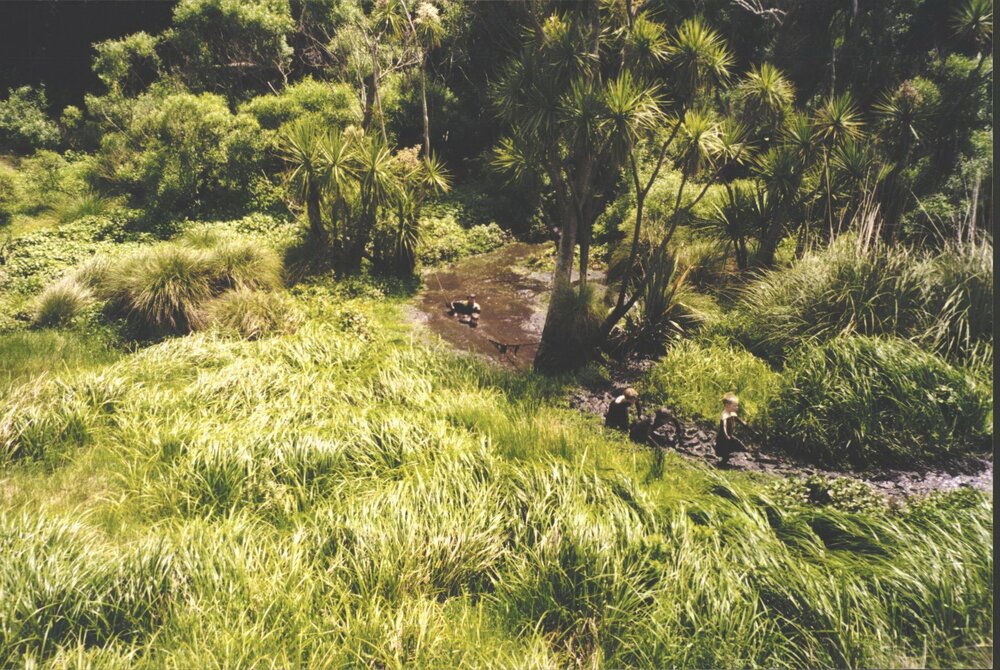 Stanley School - Wanganui Camp