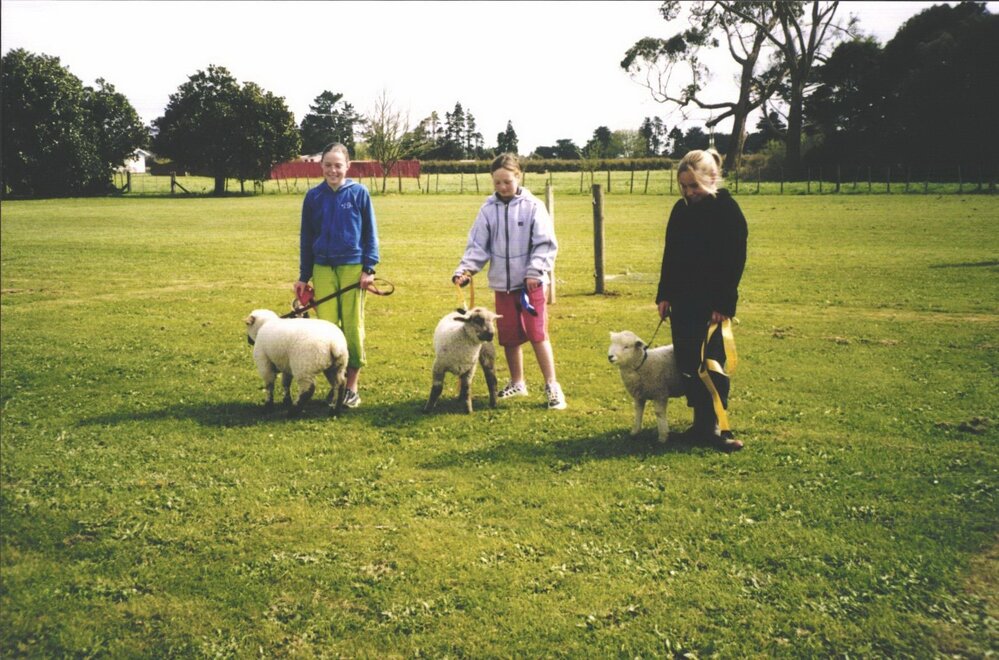 Stanley School - 2003