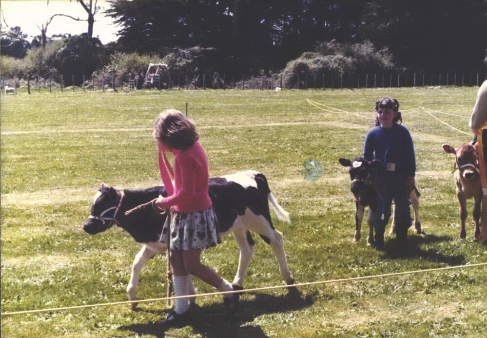 Stanley School - 1984