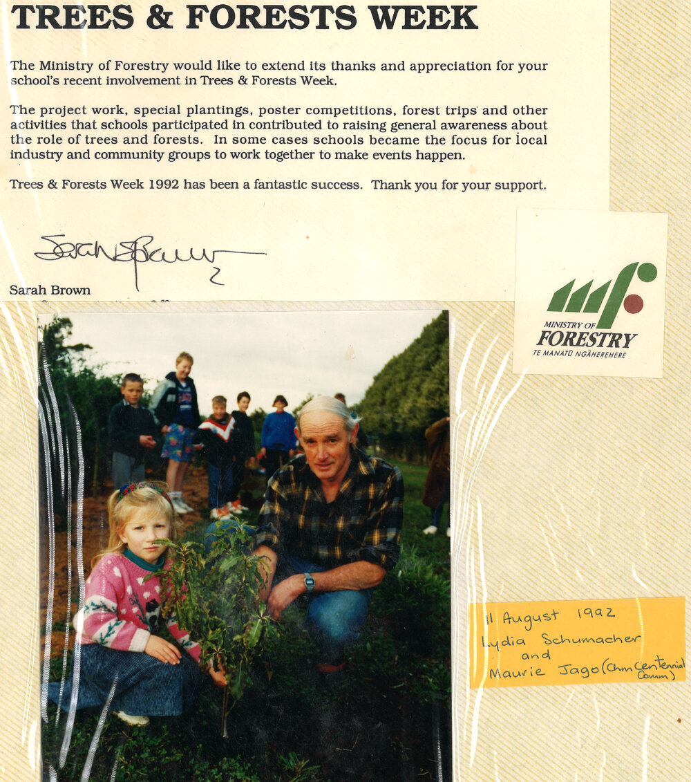 Stanley Road School 1992