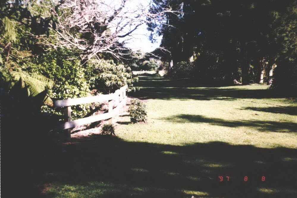 Rhododendron Dell, King Edward Park August 1997