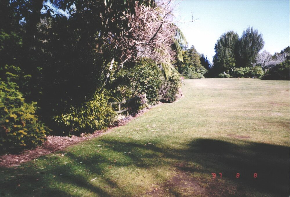 Rhododendron Dell, King Edward Park August 1997