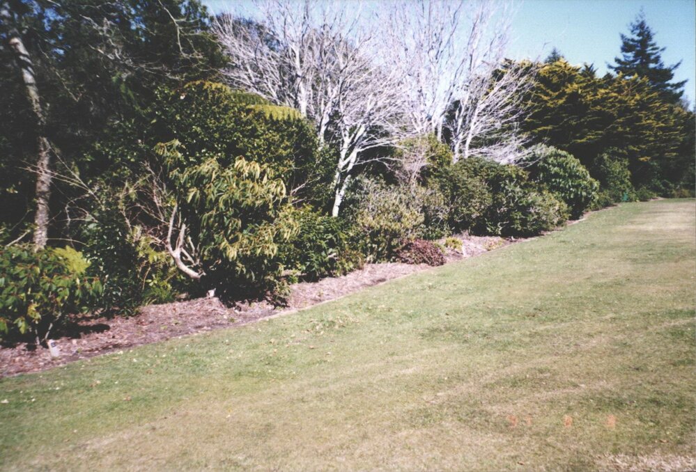 Rhododendron Dell, King Edward Park August 1997