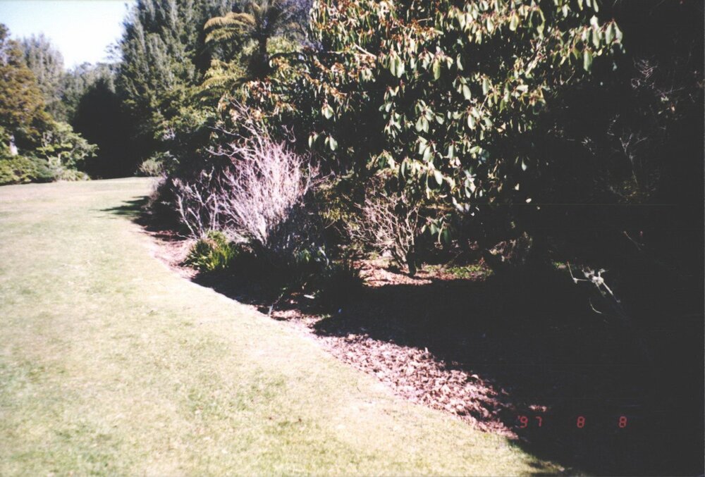 Rhododendron Dell, King Edward Park August 1997