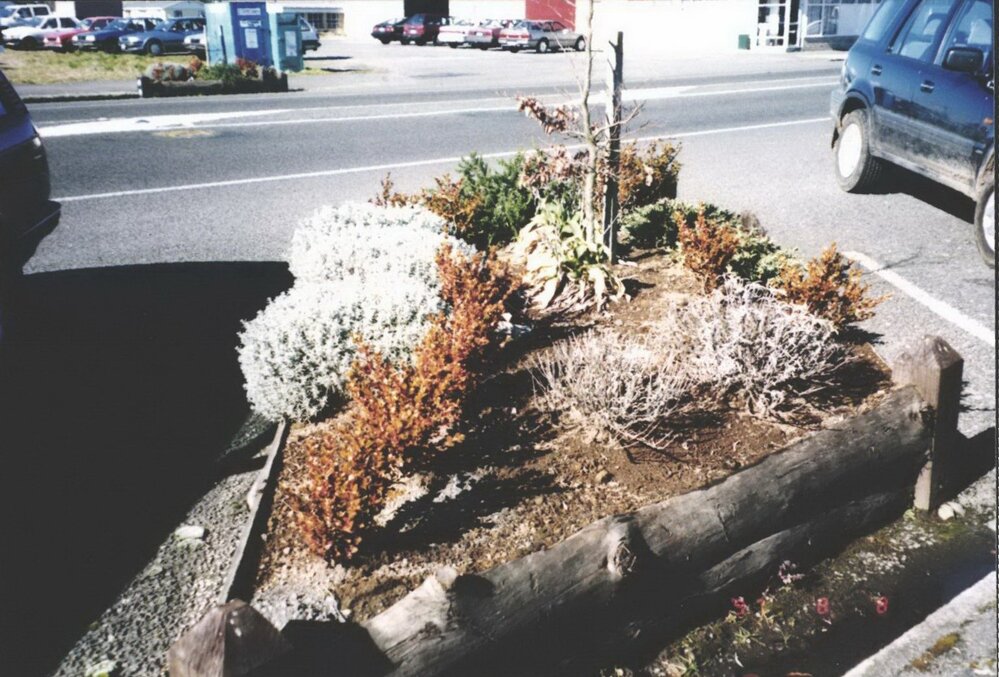 Planter Box outside Police Station August 1997