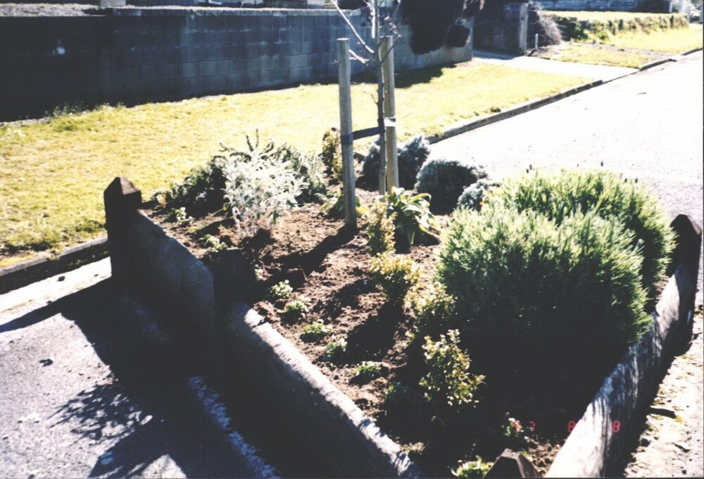 Planter box Juliet Street August 1997