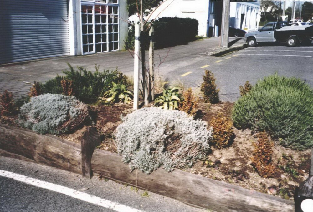 Planter Boxes Juliet Street August 1997