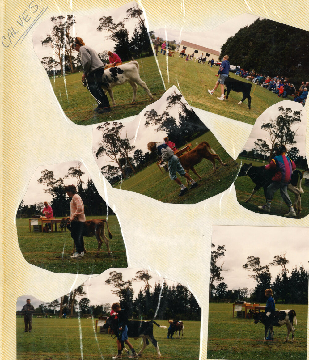 Stanley Road School 1992