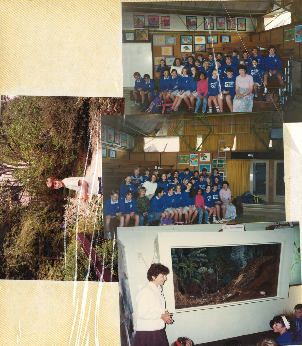 Stanley Road School 1992