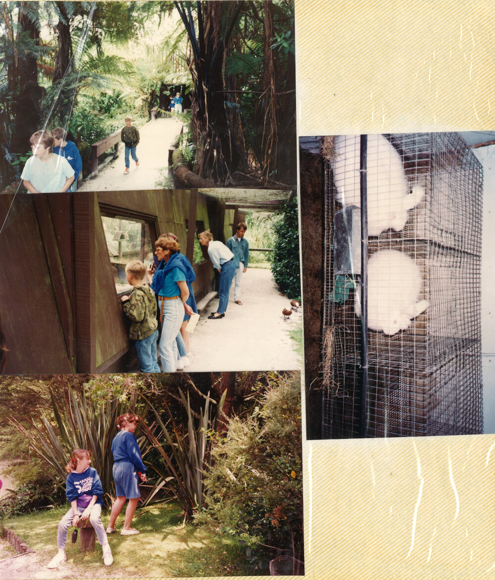 Stanley Road School 1992