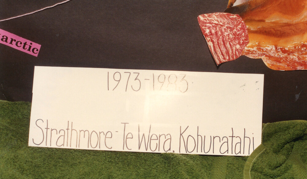 Central Taranaki Provincial Rural Womens New Zealand 60th Jubilee 1993