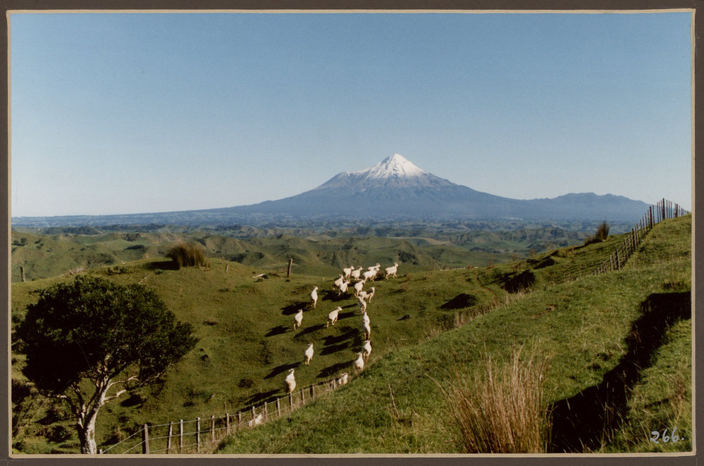 View of Mountain over Farmland