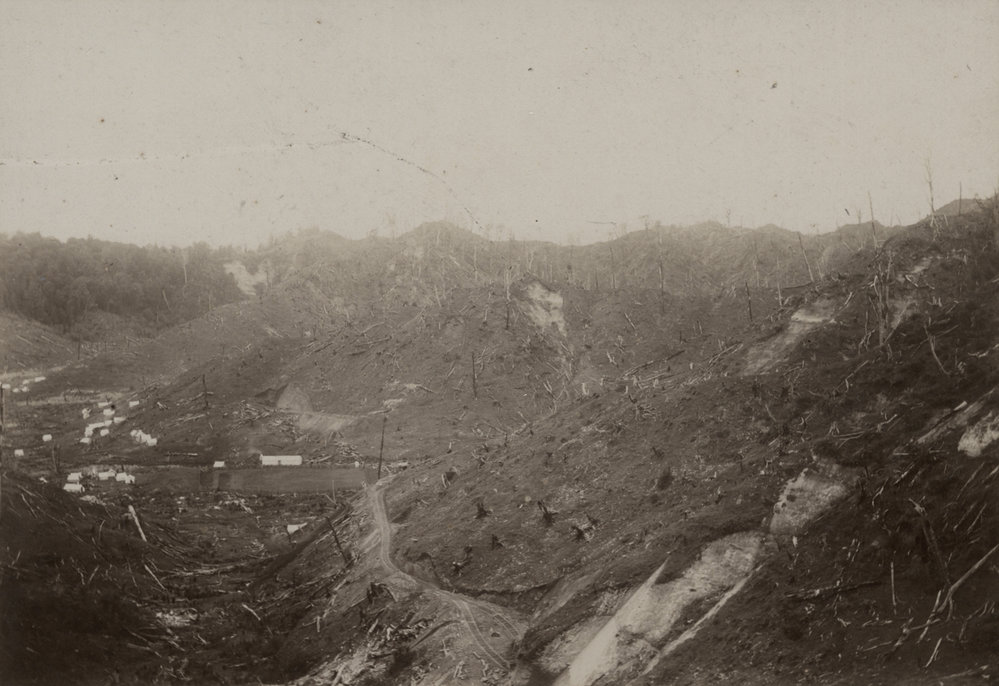 Cuttings on Te Wera side of the Mohakau Tunnel 