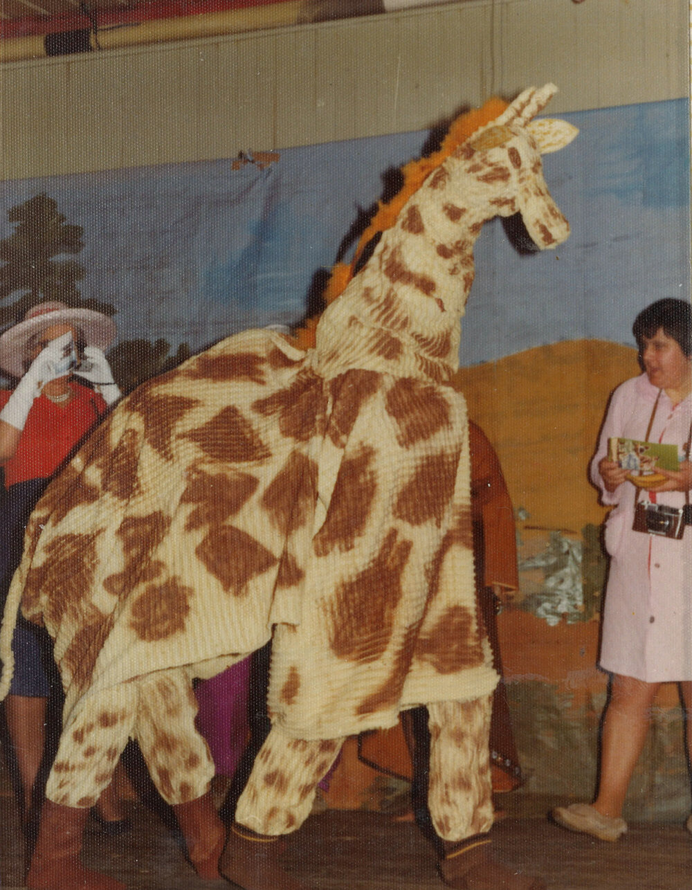 Taranaki WDFF 1946 - 1982