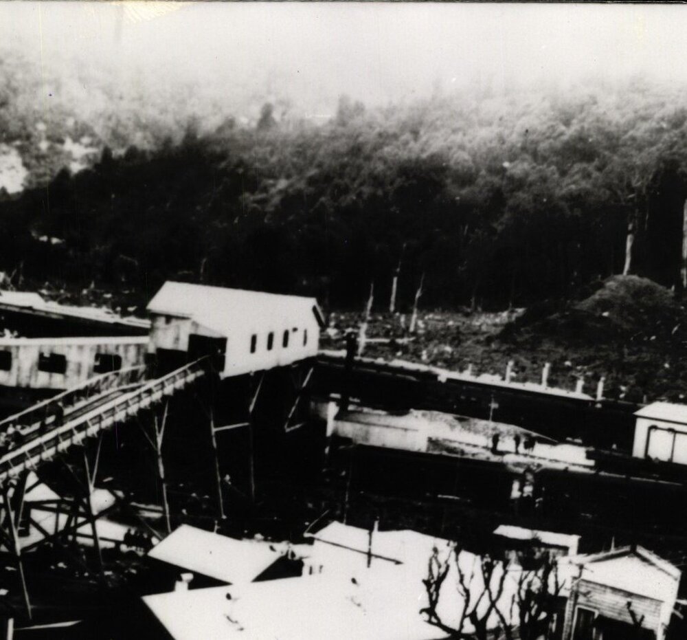 Egmont Collieries Limited - The Prospectus