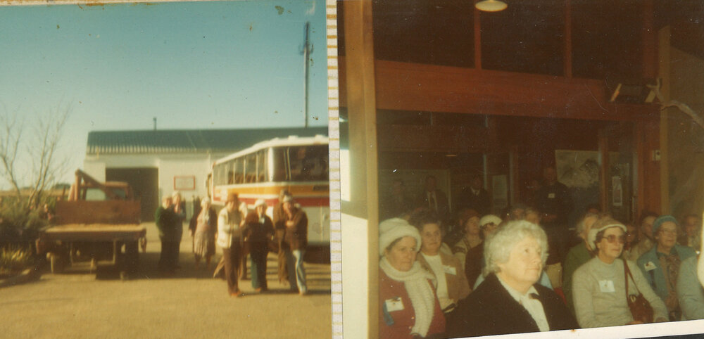 Taranaki WDFF 1946 - 1982