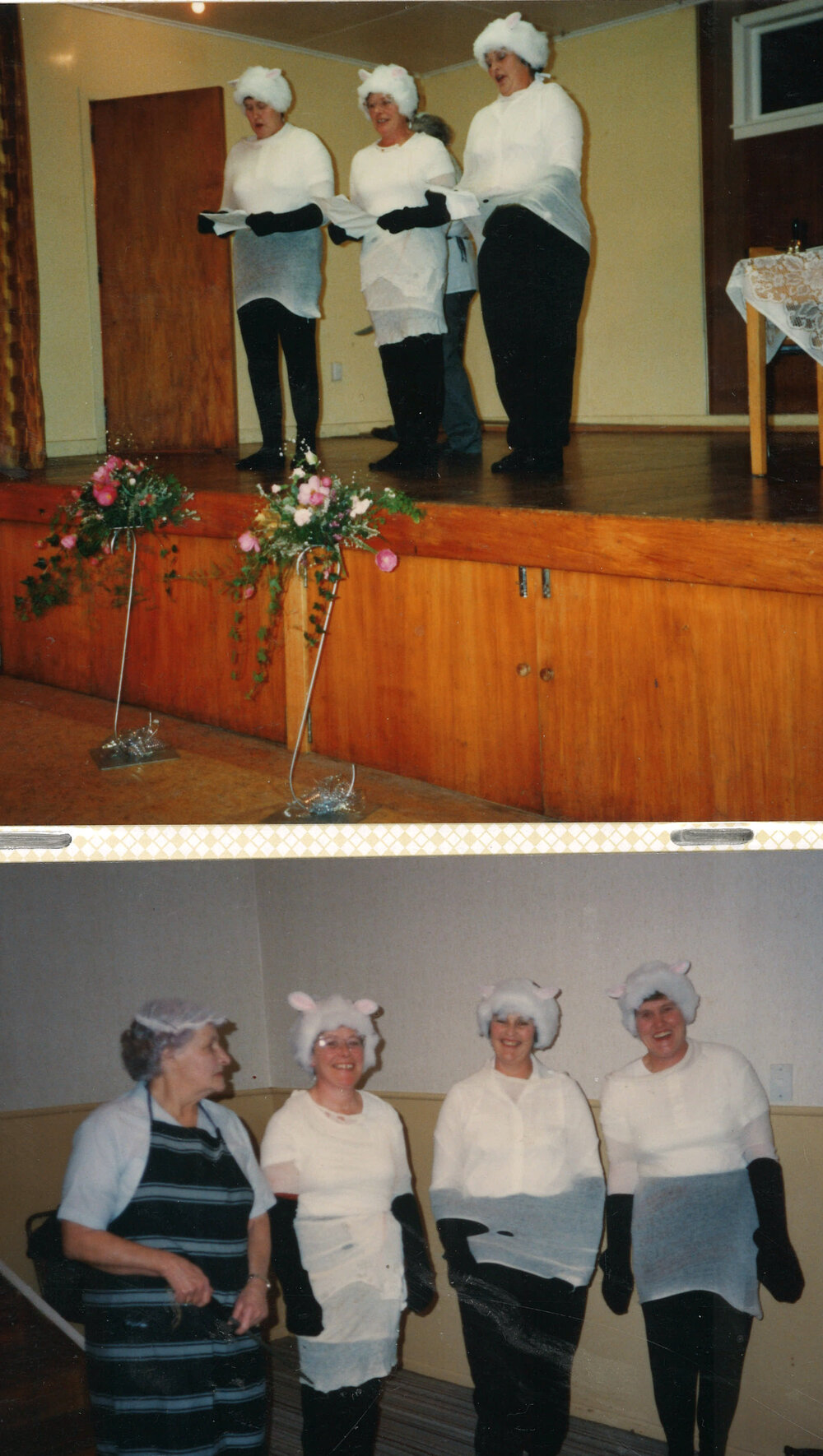 Taranaki WDFF 1990 - 2003