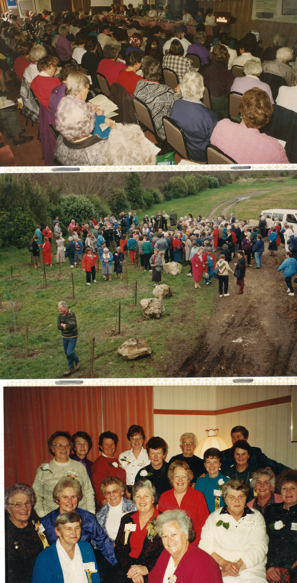 Taranaki WDFF 1990 - 2003