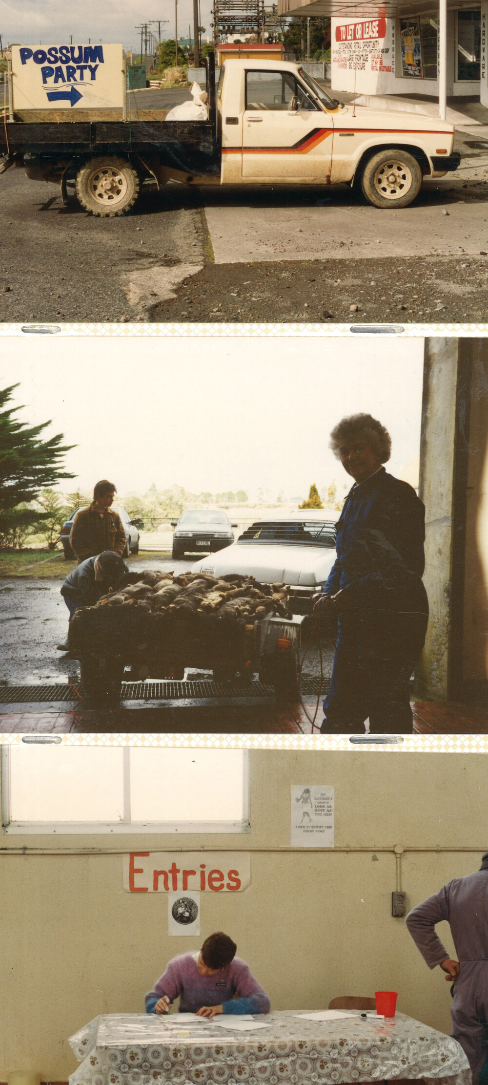 Taranaki WDFF 1990 - 2003