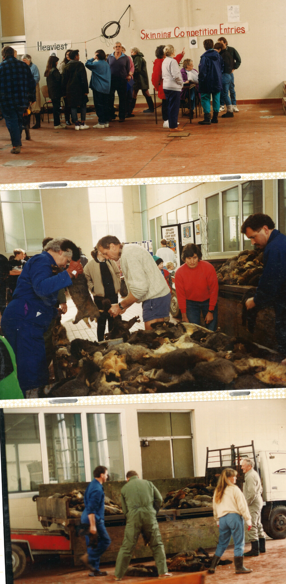 Taranaki WDFF 1990 - 2003