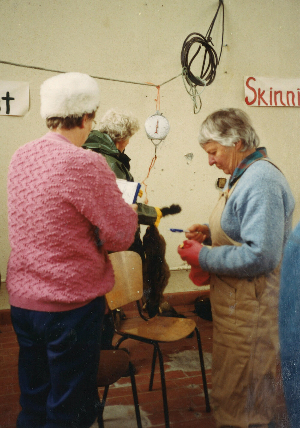 Central Taranaki WDFF 1990 - 2023