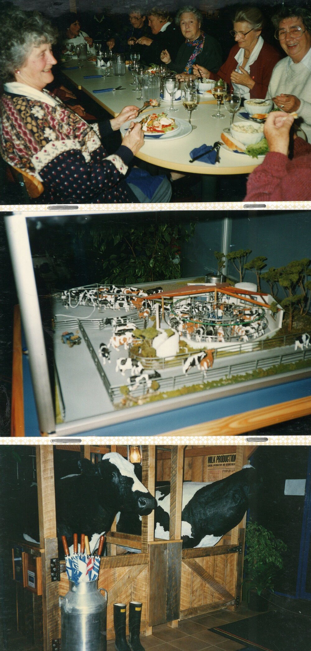 Central Taranaki WDFF 1990 - 2023