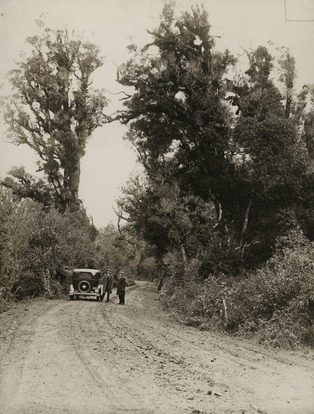 Stratford Mountain Road