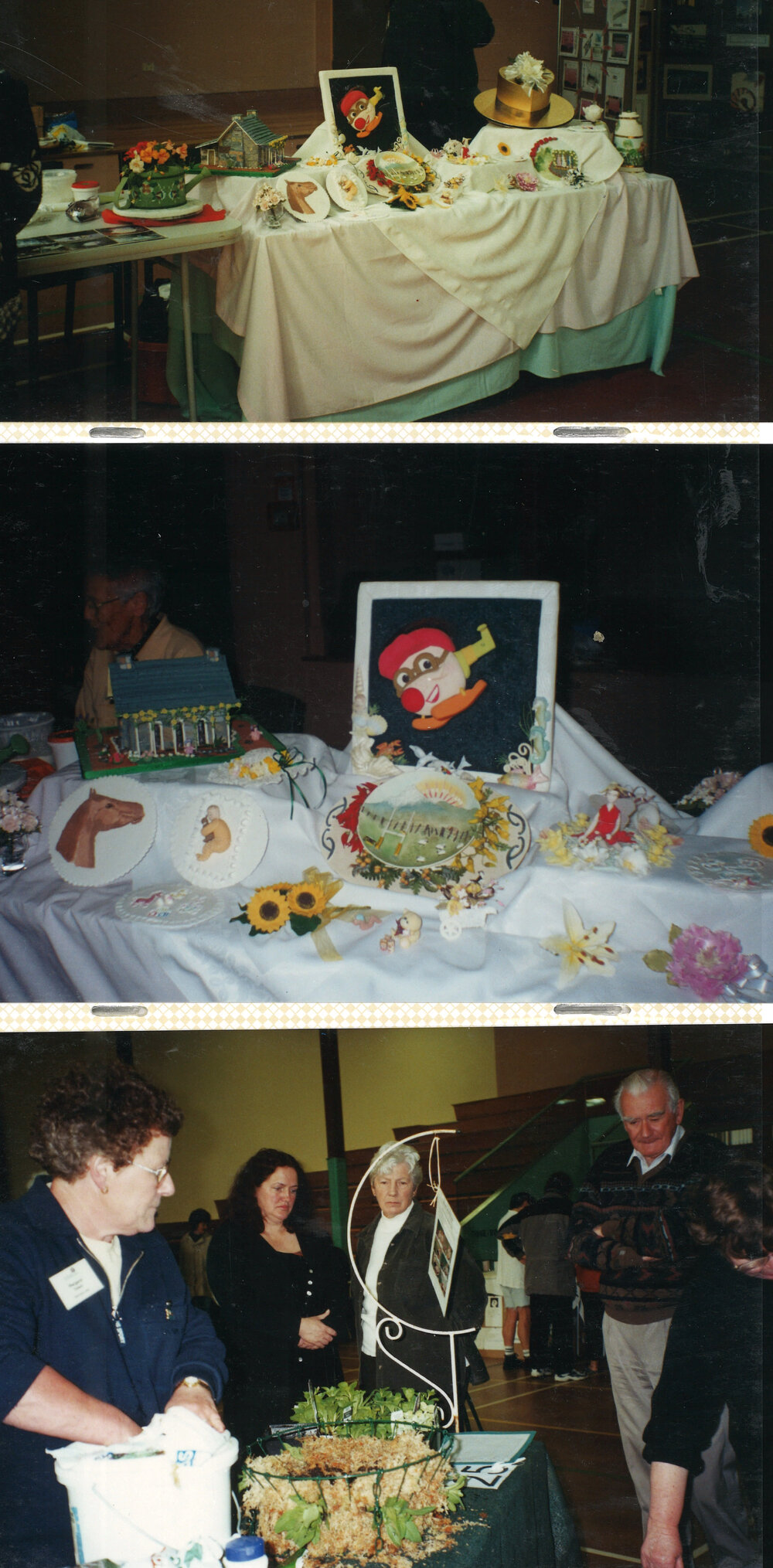 Central Taranaki WDFF 1990 - 2023