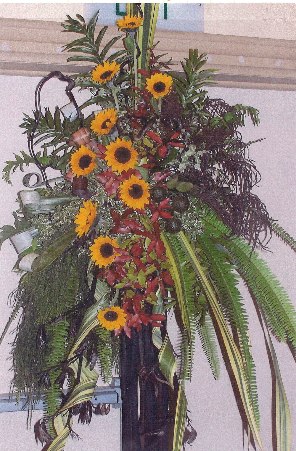 Central Taranaki WDFF 1990 - 2023