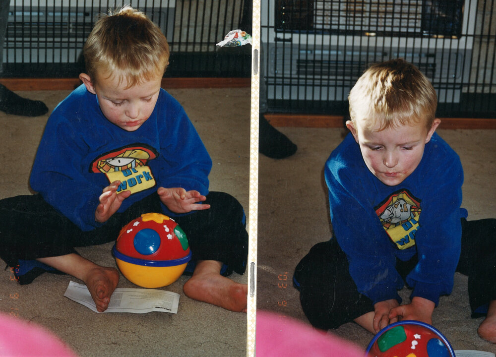 Central Taranaki WDFF 1990 - 2023