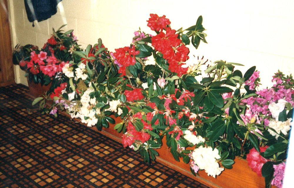 Stratford County Council End of Era Evening 1988