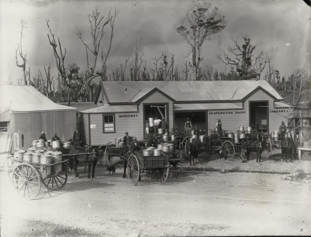 Midhirst Co-operative Dairy Company Limited 