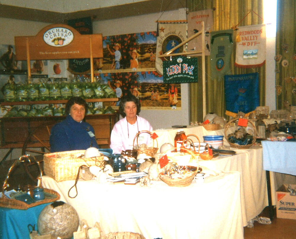 Taranaki WDFF Conference 1989, New Plymouth