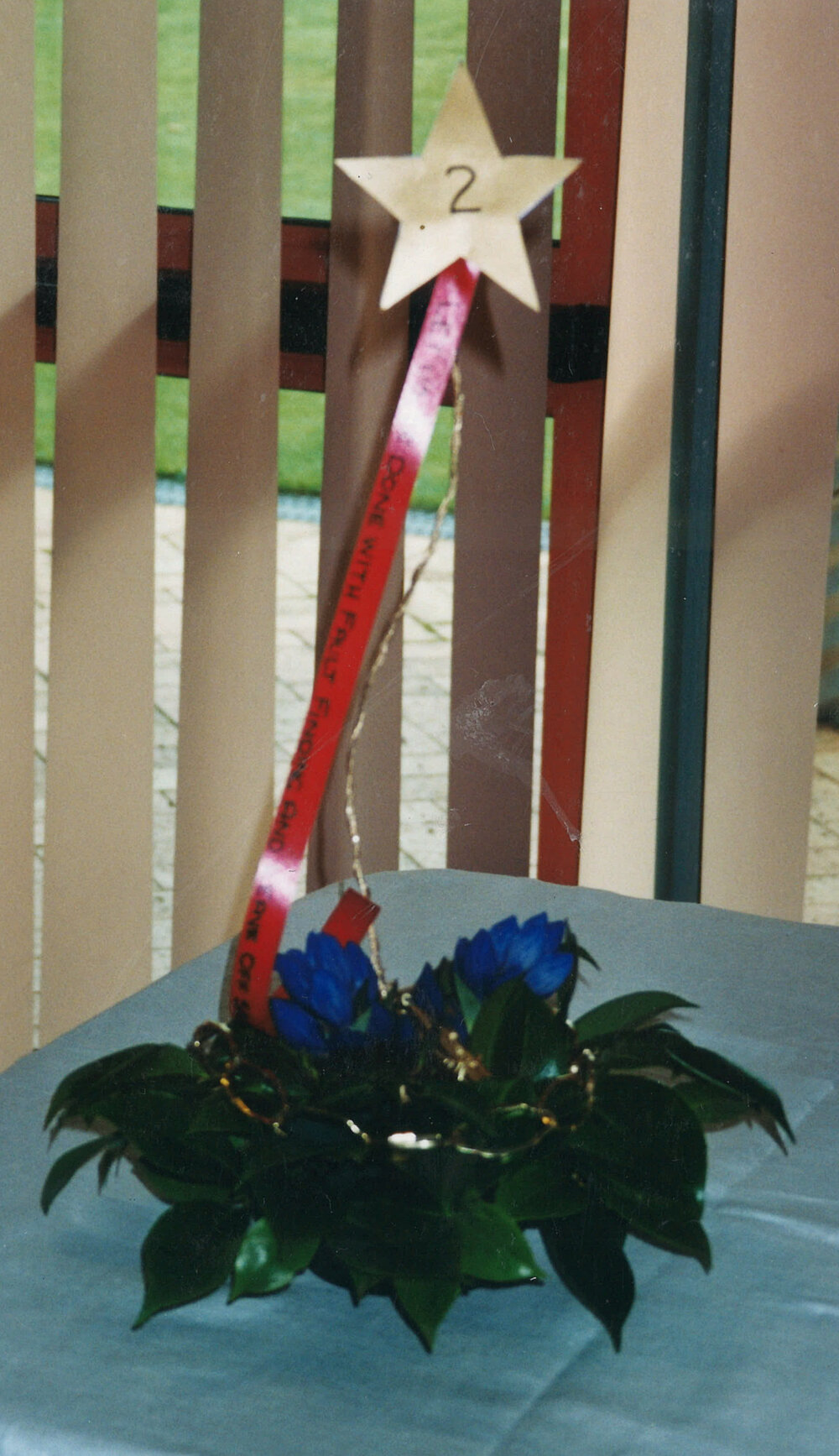 Central Taranaki WDFF 70th Celebrations 2003