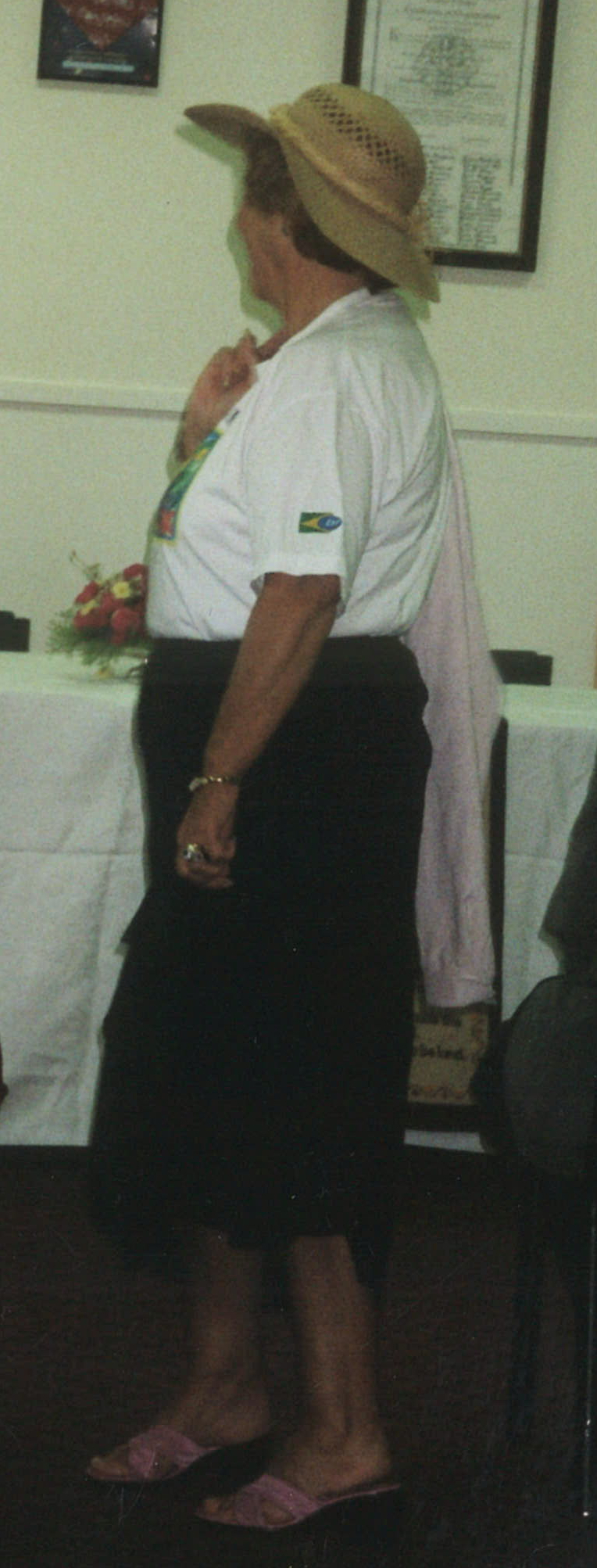 Central Division WDFF 1993-2011