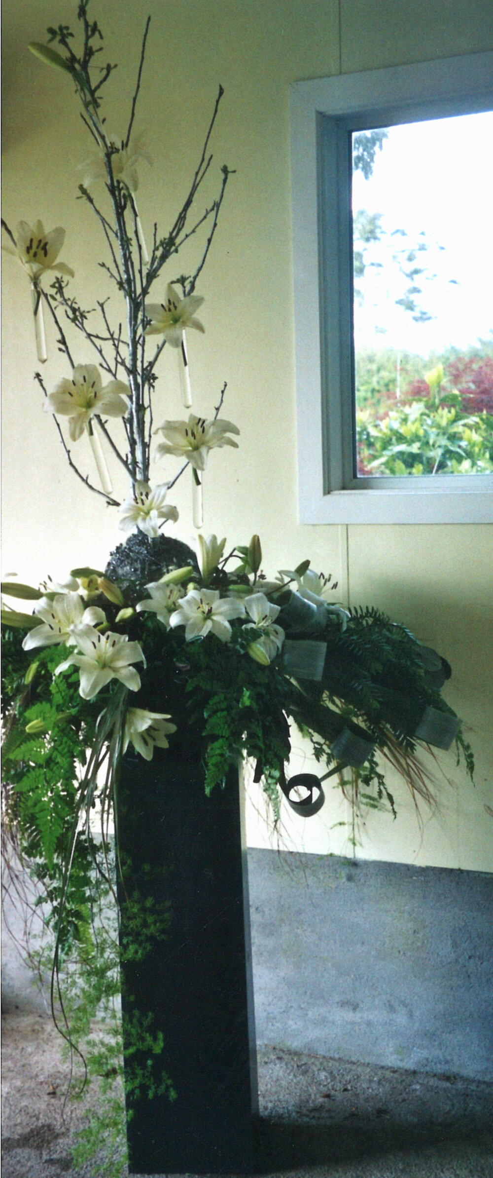 Central Division WDFF 1993-2011