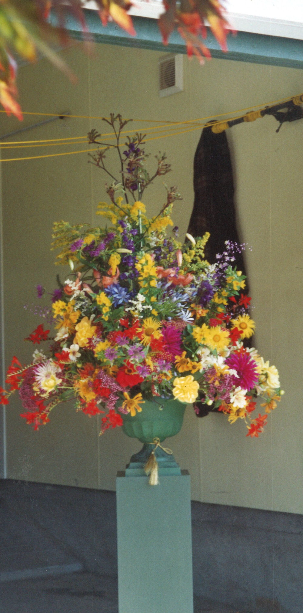 Central Division WDFF 1993-2011