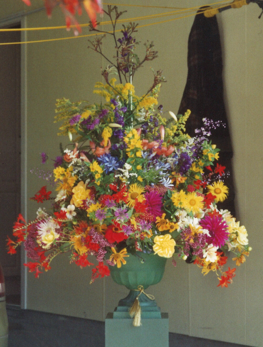 Central Division WDFF 1993-2011